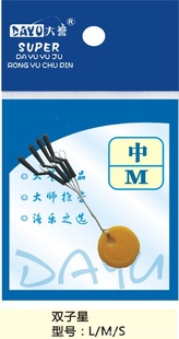 ˫