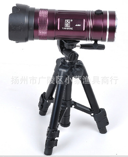 ض2013콳A605W˫ҹ