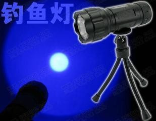 5WҹƿƯ5W