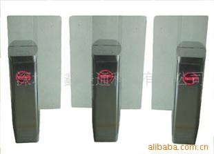 桥式圆角智能平移闸玻璃翼闸防宠物翼闸