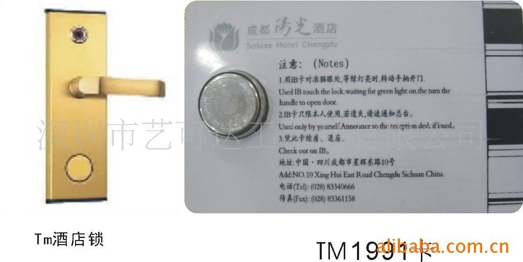 TMƵꡢTM1991