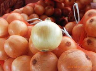 ԲԲгӹڼ