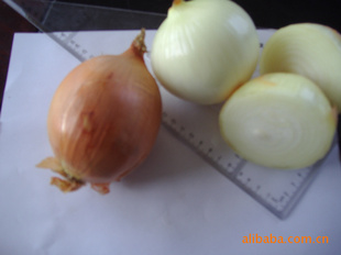 ڼ