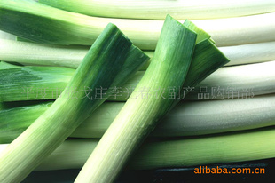 ޹ʴ