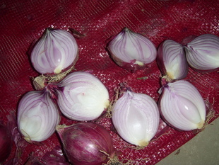 ֱڼӹװ5-8cm۸2100Ԫȫ