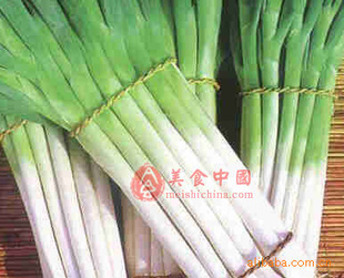 ֱ޹ʵմ
