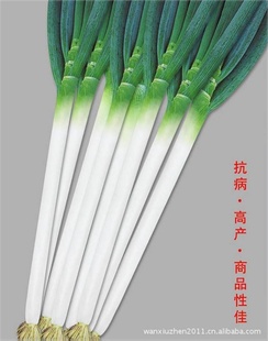 ൺֱȫձ˴