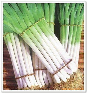 ൺ𺣴гֱ