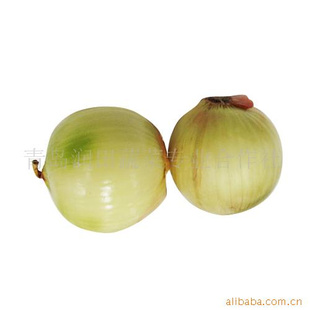 ڼԲɽԲкƤлӭѡ