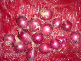 ֱڼӹװ5-8cm7-9cmװ