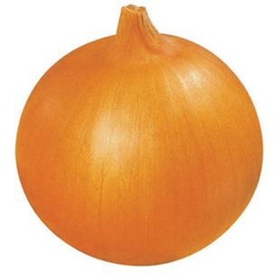 ҹ˾2011ʻƤԲ