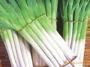 莱芜大葱批发大量,好