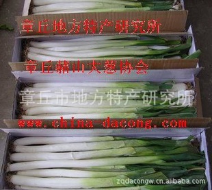 ɽʡеطزоСز
