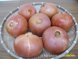 2011ʻƤԲ