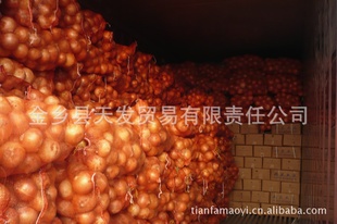 ʸưƤԲм