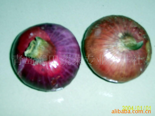 ڼкƤԲŻݶ