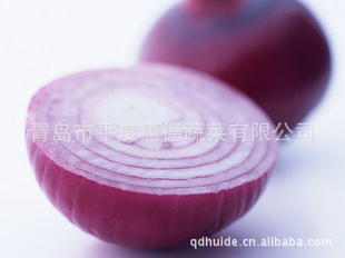 ൺݵ߲߲ˣӭѯ
