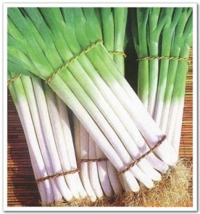ൺ