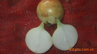 ԲСԲСԲСԲ