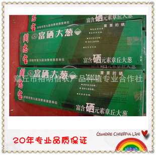20Ʒⵥλ