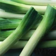 ֱ޹длӭѡ