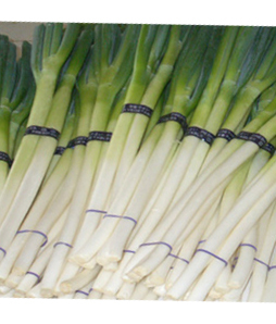 ձƷʴ