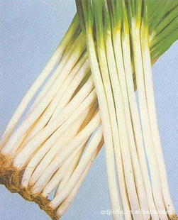 гֱֹ۸Ż