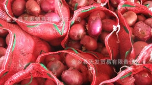 ʸưƤмӭ