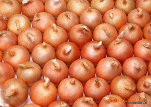 ԲСԲ