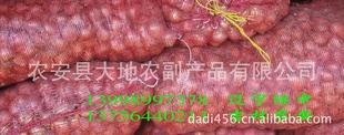 ڼëü۸