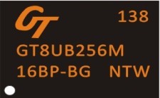 GT8UB256M16BP-BG