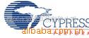 CY6264-55SNXI