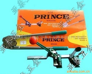 ֶ̨̫PPֹPRINCEֽܴ