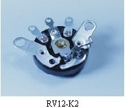 RV12ϵRV12-K2λ