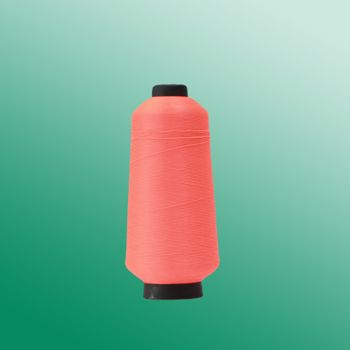 300Dڹߵ˿