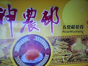 峣ũߗ