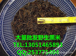 岳各庄批发加拿大野生黑米,1号苏比利尔野米,美国湖野米