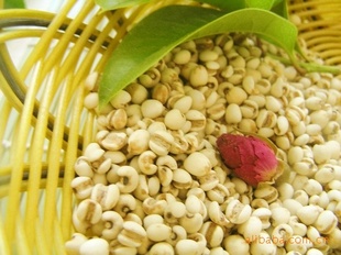 º濾޲׹С޲2.5KG/(հװ)