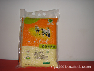 黄金晴大米,原阳大米,河南硕丰黄金晴大米