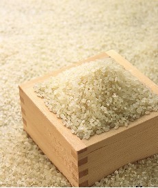 ڸкõĴл