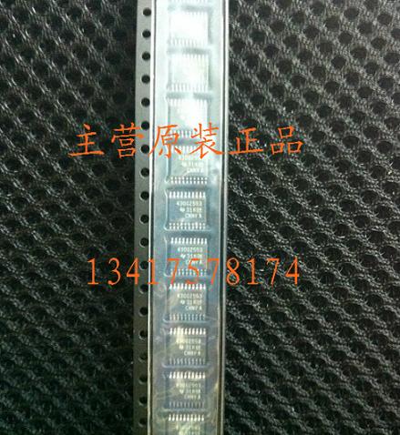 ֻMSP430G2553IPW20R