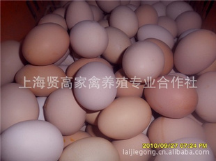 ϻ԰ɢ30ö