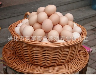 ۣ“֮ζ”ɢݼֱӭѡ