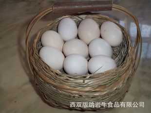 ˫زţС軨