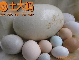 CCTVصƼѼ