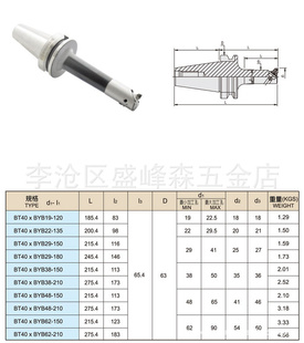 ̨ԴBT40-BYB62-210