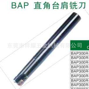 ̨ϳBAPֱ̨ϳBAP300R-10*130