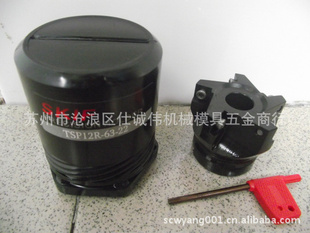 SKIFSKIFTSP12R-63-22ϳ