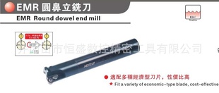 生产批发高性价比EMR-5R系列圆鼻立铣杆数控内螺纹杆