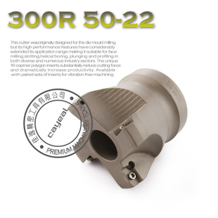 RAP300R50-22ձ׼CNCϳ̹
